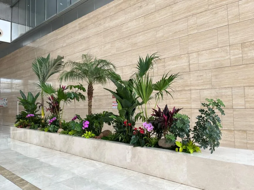 “杭州湾绿植出租哪家好验